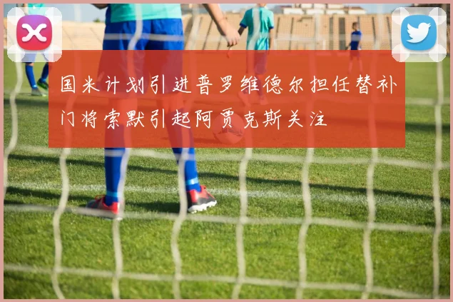 国米计划引进普罗维德尔担任替补门将索默引起阿贾克斯关注