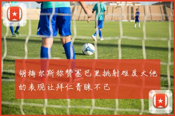 胡梅尔斯称赞塞巴里挑射难度大他的表现让拜仁青睐不已